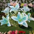 Solar Lily Outdoor Simulation Flower Lamp LED Artificial Flower Floor Insertion Lamp Garden and Courtyard Decorative Lights Holiday Party Decorative Lights