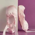 Women's Ballet Shoes Practice Trainning Dance Shoes Performance Stage Indoor Flat Flat Heel Lace-up Elastic Band Pink Champagne / Satin / Girls'