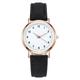 Women Watch Fashion Casual Leather Belt Watches Luminous Simple Ladies' Small Dial Quartz Clock Dress Wristwatches Reloj Mujer