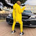 Women's Sweatshirt Tracksuit Pants Sets Letter Sports Outdoor Casual Black White Yellow Zipper Long Sleeve Basic Hooded Regular Fit Fall Winter
