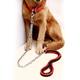 Pet Dog Iron Chain Explosion-proof Impact Traction Rope Set Nylon Anti Bite Dog Rope Dog Chain For Pets