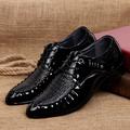 Men's Oxfords Dress Shoes Crocodile Pattern Patent Leather Shoes Reptile Shoes Vintage Business Classic Wedding Party Evening Microfiber Breathable Lace-up Black Summer Spring
