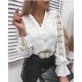 Women's Shirt Blouse Eyelet top White Eyelet Tops Picture color 1 Picture color 2 Picture color 3 Plain Lace Cut Out Long Sleeve Casual Daily Elegant Round Neck Regular S