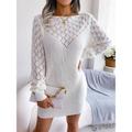 Women's Sweater Dress Crew Neck Ribbed Knit Acrylic Patchwork Fall Winter Long Daily Going out Weekend Stylish Casual Soft Long Sleeve Solid Color White Pink Blue S M L