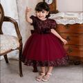 Toddler Girls' Dress Plain Short Sleeve Party Daily Sequins Bow Cute Elegant Polyester Midi Tulle Dress Summer Spring 1-4 Years Wine Red Green
