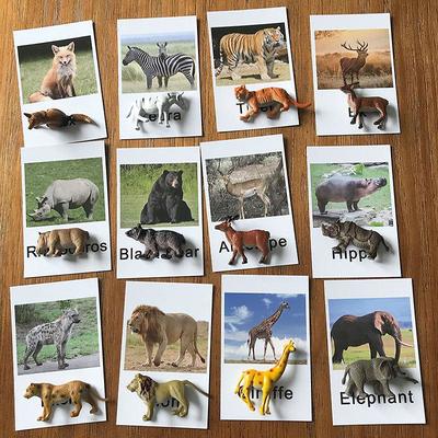 Montessori Teaching Aids Animal Model Card Matching Literacy Literacy English Card Language Teaching Aids Early Childhood Education Toys Back to School Gift for Christmas Gifts