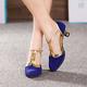 Women's Ballroom Dance Shoes Modern Dance Shoes Line Dance Outdoor Suede Shoes Heel Splicing Cuban Heel Buckle T-Strap Black and Gold Brown Royal Blue