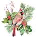 Cardinal Holly Christmas II Poster Print - Jennifer Paxton Parker (12 x 12)