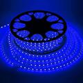 LED Strip Light Plug in Outdoor Waterproof IP67 AC220V 4040 LED Strip Light Diode Tape Holiday Decorative Light LED String with 60led / m with EU Plug