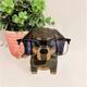 Glasses Stand,Glasses Holder Stand, Wooden Eyeglass Stand,Christmas Creative Eyeglasses Holder Animal, Spectacle Holder Stand