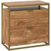 Engineered Wood File Cabinet In Sindoori /Brown/Gold