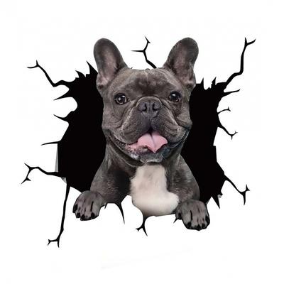 3D Car Stickers Auto Rear Window Puppy Broken Window Stickers French Bulldog Car Stickers Vinyl Decals