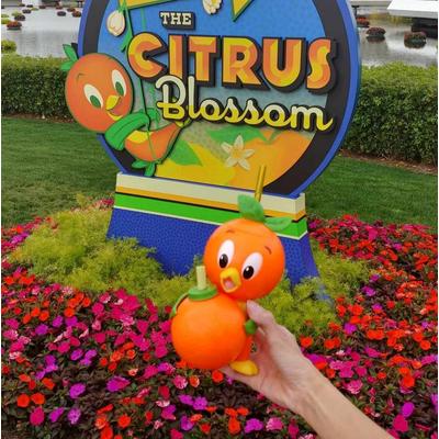 Disney Dining | Firm! Nwt Disney Parks Epcot 2024 Flower And Garden Festival Orange Bird Sippe | Color: Green/Orange | Size: Os