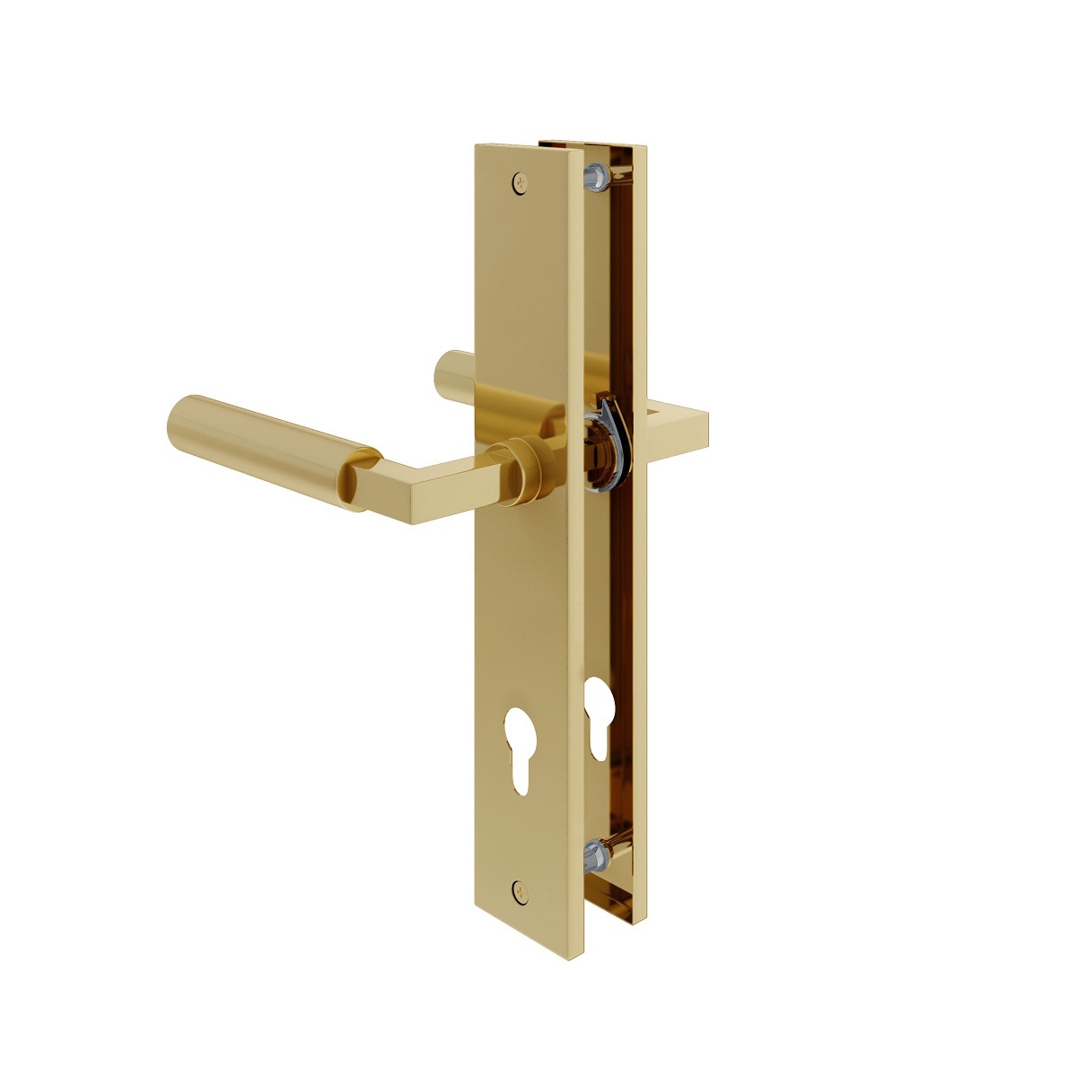 MS Beschläge Langschildgarnitur Baustil Türdrücker Messing Optik Profilzylinder Image