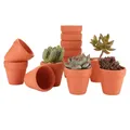 Pots en poterie 2.2 en terre cuite jardinière de fleurs quantiques pot succulent avec trou de