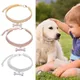 Collier de chien réglable en biscuits pour animaux de compagnie colliers de fête mignons pour