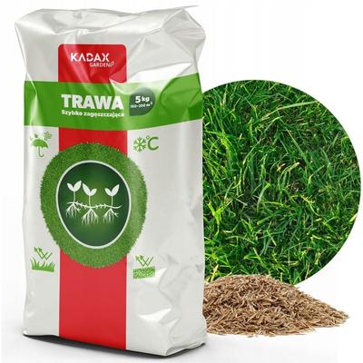 Rasensamen, Grassamen, schnellwachsendes Gras, Rasenpellets, 5 kg - Kadax Image