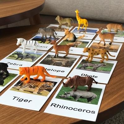 Montessori Animal Matching Card: Cognitive Kids Ed...