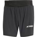 adidas Terrex Herren Techrock Pro Trail Shorts (Größe L, schwarz)