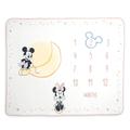 Disney Store Official Mickey Mouse and Minnie Mouse Baby Month Milestone Blanket Gift Set, Infant Cuddle Cloth with Mickey Icon Marker for Indicating Age, approx 75x108cm
