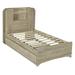 Millwood Pines Cristionna Bookcase Storage Bed Wood in Brown | 43.3 H x 41.4 W x 86.1 D in | Wayfair 0A9B5FAA78434BA7A0BDF5F630660B60