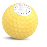Dadypet Model Durable Jolly Ball Two Modes Durable Ball Jolly Cat Ball Realistic Calls Easy Use Owners OWSOO Durable Jolly Compliant Calls Convenient Ball Calls Two Ball Toy -