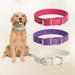 Dog Collar - 3 color mix and match Padded Leather Pet Collars for Cats Puppy Small Medium Dogs 15.75 inches long