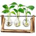 Hydroponic Vase Hanging Vase - Decorative Wooden Holder with Hydroponic Glass Vase Desktop Plant Terrarium Creative Glass Transparent Vase for Hydroponic Plants