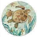 Bay Turtles 4Mm Heat Tolerant Tempered Glass Lazy Susan Turntable 13 Diameter Cake Plate Pizza Server Condiment Caddy