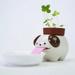 Self Watering Dog Planter | Self Watering Planter | Cute Dog Planter | Succulent Planter | Small Planter Pot