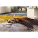 Brown Bear Resting on a Log Rugs Modern Rug Bear Rug Animal Rugs Round Rug Personalized Rug Office Rug Soft Rug Dining Room Rug 2.6 x9.2 - 80x280 cm