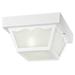 Westinghouse 66975 Flush-Mount 1-Light Outdoor Fixture w/ Glass Panel White Each