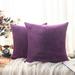 Flxxie Ultra Fluffy Soft Velvet Decorative Solid Color Throw Pillow Simple Square Covers Cushion Case 2 Pieces 18 x 18 Purple