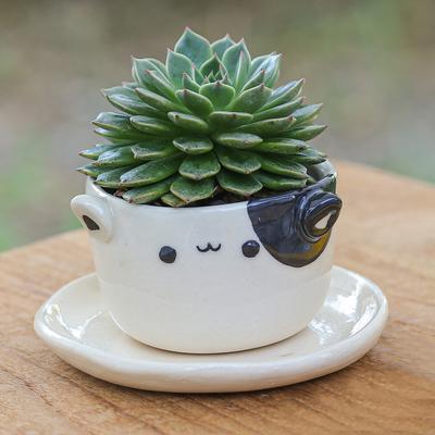 'Cat-Themed Ivory Black Ceramic Mini Flower Pot with Saucer'