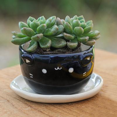 'Cat-Themed Black Ceramic Mini Flower Pot with Ivory Saucer'