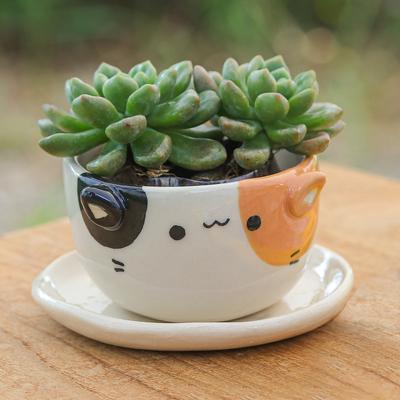 Kitty Fascination,'Ivory Orange Black Ceramic Cat Mini Flower Pot with Saucer'