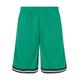 Stoffhose URBAN CLASSICS "Herren Stripes Mesh Shorts" Gr. XL, US-Größen, grün (ferngreen, black, white) Herren Hosen Stoffhosen