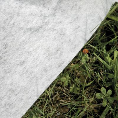 Bodenschutzplane GRE "Bodenschutzvlies", weiß, B:400cm L:625cm, Polyester, Planen, aus Polyester