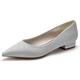 Women's Wedding Shoes Dress Shoes Wedding Party Daily Wedding Flats Bridal Shoes Bridesmaid Shoes Flat Heel Pointed Toe Elegant Fashion Sparkling Glitter Loafer White Silver Champagne