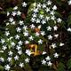 luci stringa solare esterna 2 pezzi 1 pz 8 modelli fiore di ciliegio 6.5m 30 led luce solare stringa per la decorazione del giardino di casa 5m 20 led luci fata festa di natale impermeabile lampada