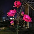 5 testa led solare rosa orchidea fiore luce esterna giardino impermeabile simulazione prato lampada festa di nozze decorazioni natalizie paesaggio luce
