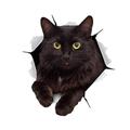 winston orso adesivi gatto 3d - confezione da 2 - adesivi murali gatto nero - adesivi murali gatto per camera da letto - frigorifero - toilette - auto - confezione al dettaglio