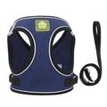 collare per cani alla moda e guinzaglio collare per cuccioli bling carino collare per cani diamante con guinzagli - blu - xs