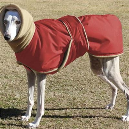 Hund Katze Mäntel Jacke Mode Niedlich Winter Warm Atmungsaktiv Weich Waschbar Bequem Outdoor Alltagstauglich Hundebekleidung for Bichon Frise Zwergspitz Baby Haustier Papillon Klein Image