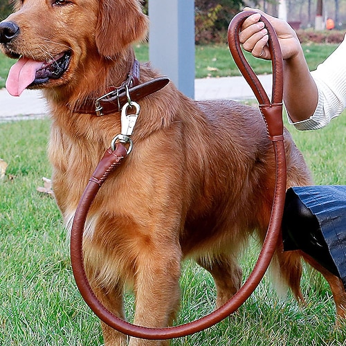 Hunde Katzen Halsbänder Leinen Einstellbar Tragbar Langlebig Outdoor Gehen Image