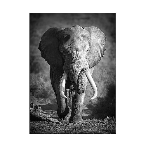 1 stück tier wandkunst leinwand giraffe elefant poster und drucke moderne wandkunst bild für wohnzimmer kein rahmen Image