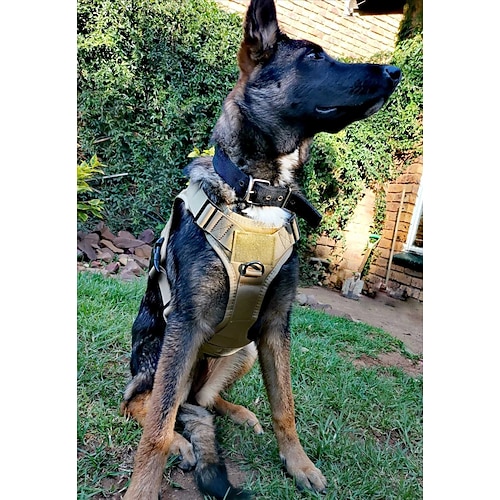 Hunde Pelzige Kleintiere Geschirre Taktisches Geschirr Einstellbar Gefüttert Trainer Verstellbar Outdoor Laufen Wandern Einfarbig Heiser Labrador Alaska - Schlittenhund 1 Stück Image