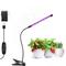 LED Grow Lights dimmbare wachsende Leuchte 10w 20w 30w mit Stecker für Desktop-Pflanzen Home Office Gemüsegewächshaus 20-40-60-80 LED-Perlen 1 Set
