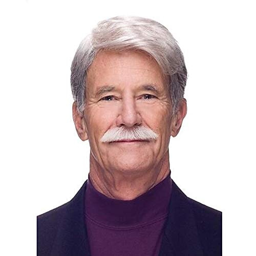 weiße Perücken für Männer, kurze grauweiße Herrenperücken, Toupets für Männer, Perücke für Männer, geschichtete Perücke mit natürlichem Seitenscheitel, Kunsthaarersatz, Vollperücken, Image