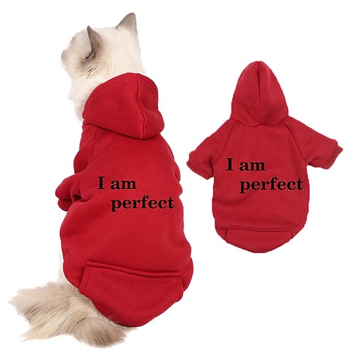 Hund Katze Kapuzensweatshirt Sport Lässig Winter Atmungsaktiv Weich Waschbar Bequem Outdoor Alltagstauglich Hundebekleidung for Bichon Frise Zwergspitz Baby Haustier Papillon Klein Image